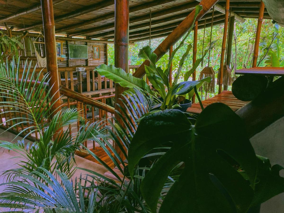 Cinnamon House Mindo Buitenkant foto